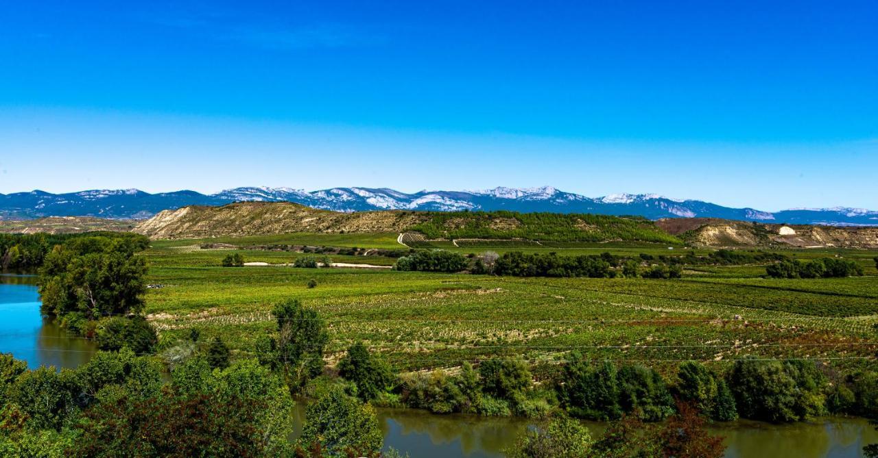 Apartamento Virgen Del Valle Cenicero Eksteriør bilde